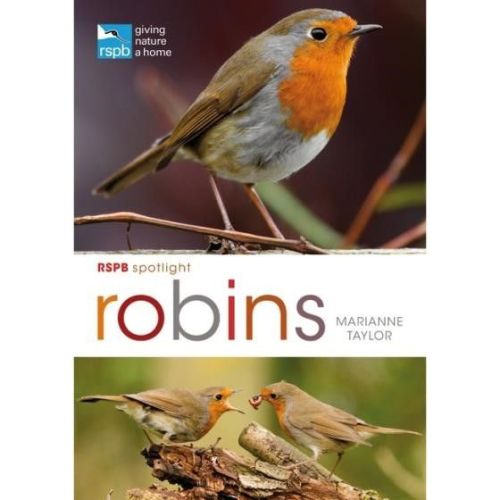 RSPB Spotlight series: Robins