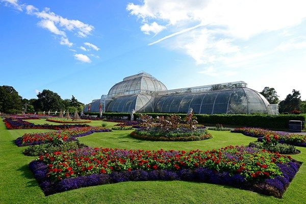Visit to Kew Gardens and Palace for Two 
