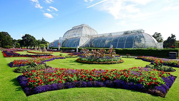 How about a visit to Kew Gardens?