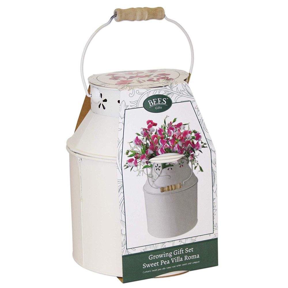 Grow Your Own Sweet Pea Floral Milk Churn from Seed Gift Set Everything You Need 
