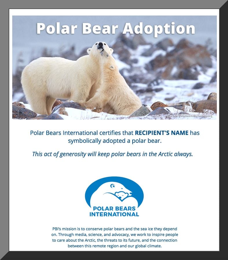 Adopt a Polar Bear from Polar Bears International 