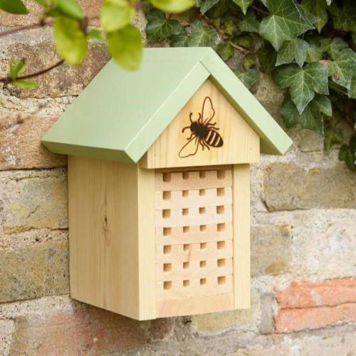 This is a Solitary bee home