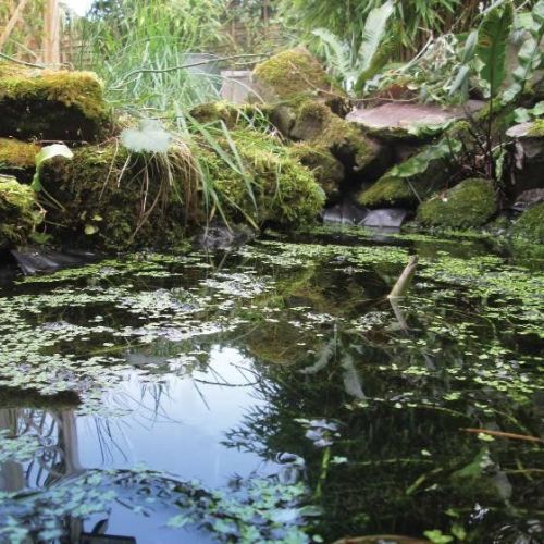 Give your wildlife a pond liner kit - from 2m x 2m