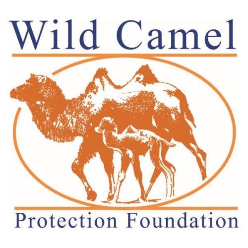 Visit the Wild Camel Protection Foundation's website