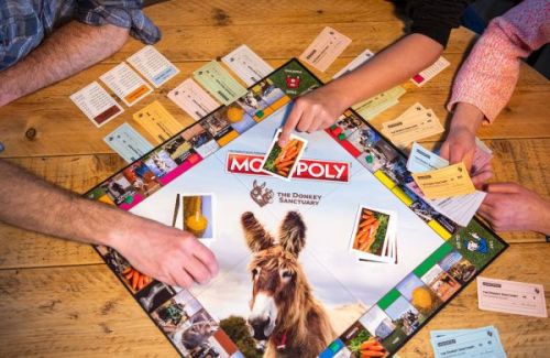 Donkey Sanctuary's Monopoly Game