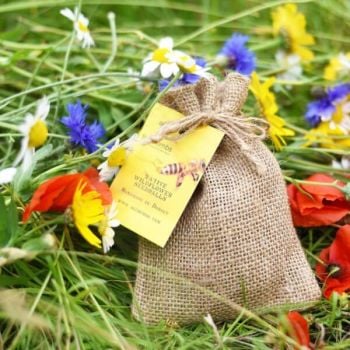 Bee Bomb - Wild Flower Seedball from Garden Wildlife Direct Bee Bomb - Wild Flower Seedball from Garden Wildlife Direct