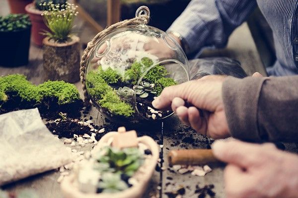 How about a Terrarium Workshop for Two at Porto's Flowers in West Sussex?