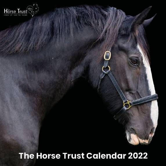 This is a great gift for any horse lover - The Horse Trust's 2022 Calendar