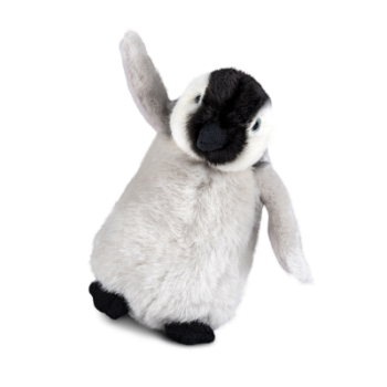 This Penguin Chick soft toy is from Living Nature