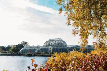 Visit to Kew Gardens with Prosecco Afternoon Tea at The Botanical for Two
