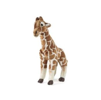 Living Nature have a gorgeous soft toy giraffe