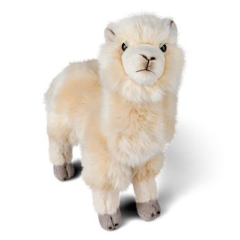 What about a soft toy Alpaca?
