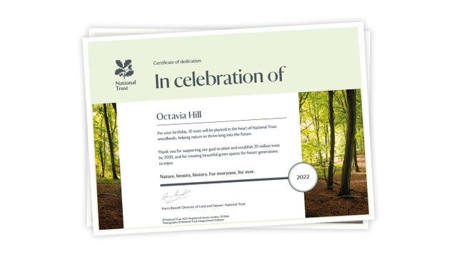 You can dedicate a tree with the National Trust