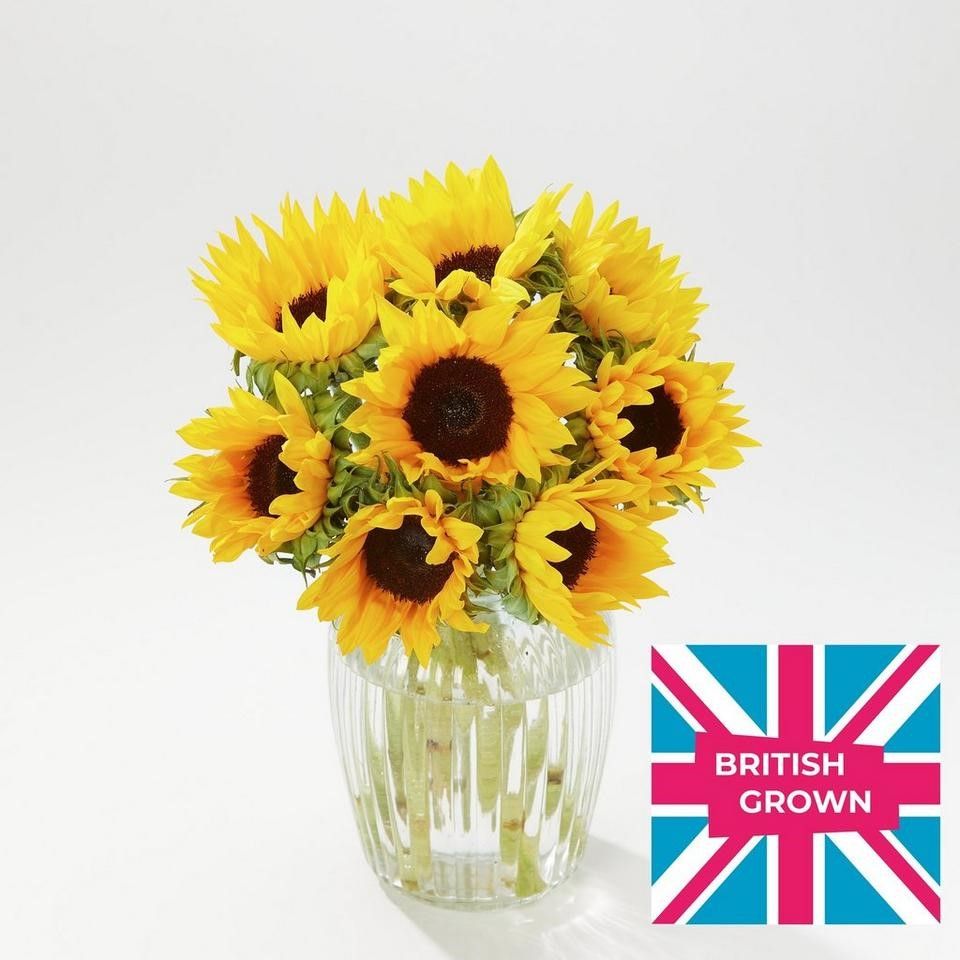 Send British sunflowers through the post!