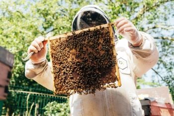 Urban Beekeeping and Honey Craft Beer Tasting for Two