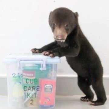 Please give a Cub Care Kit donation and help a little bear cub!