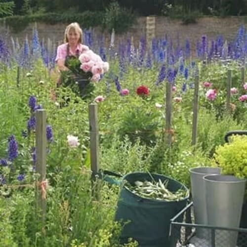 Swinton Estate Lunch & Garden Tour in North Yorkshire