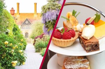 Visit to RHS Garden Wisley and Afternoon Tea for Two at Brooklands Hotel