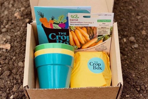6 Month Seasonal Crop Box Subscription for an Adult or Child