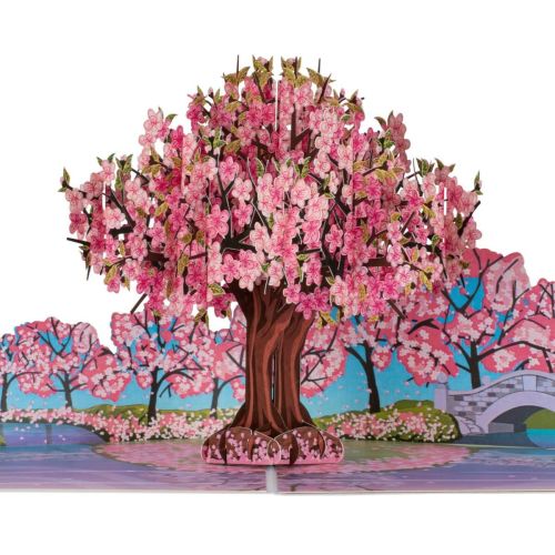 This is the Pink Cherry Blossom Tree Pop Up Card