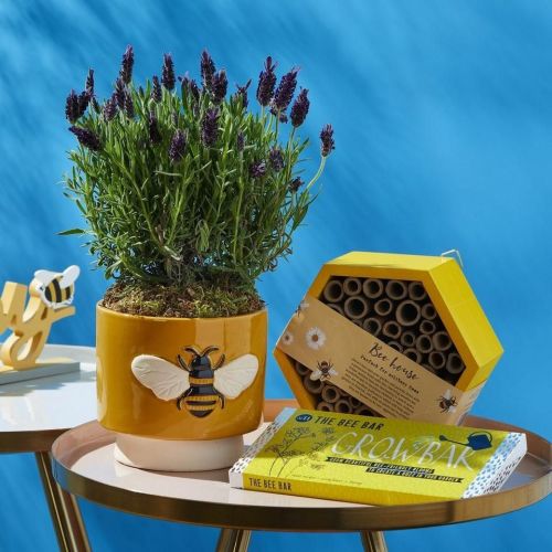 Flying Flowers have a Bee Friendly Bundle you could send