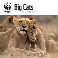 This is the WWF, Big Cats Calendar 2024