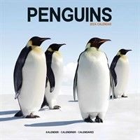 This Penguin Calendar 2024 is available from the Calendar Club 