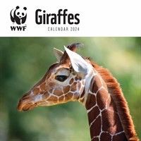 This WWF Giraffes Calendar 2024 is a great way for giraffe lovers to enjoy stunning pictures of giraffe throughout the year!