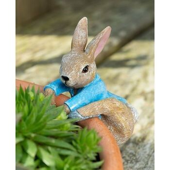 This Full Colour Beatrix Potter Peter Rabbit Pot Buddy - Pot Hanger - is available from Thompson & Morgan