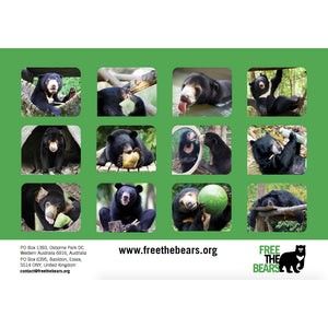 The 2024 Calendar features 12 of the bears at Free the Bears sanctuaries, all cared for by Free the Bears