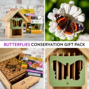 This Butterflies Conservation Gift Pack has 33% off