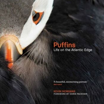 Puffins : Life on the Atlantic Edge