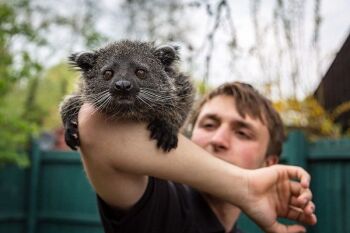 Give them the choice with an Animal Encounters Choice Voucher!