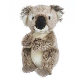 Introducing Hamleys® Baby Kady Koala Soft Toy