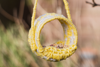 Make your own Woven Bird Feeder with this craft kit!