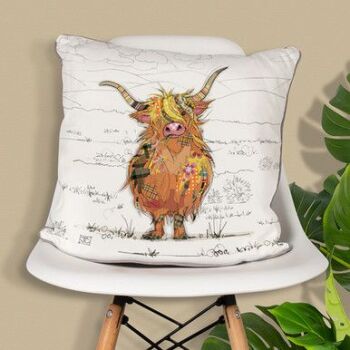 This is the Highland Hamish Cushion, a fun way to decorate a room!