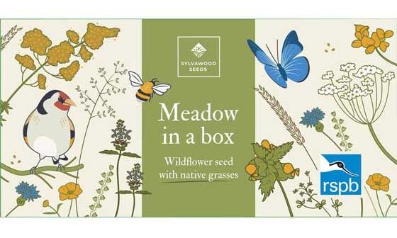 This the RSPB Mini meadow grass and wildflower seed box