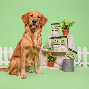 Give your dog some training with these Easter treats!
