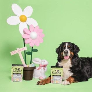Easter treats for your dog from Pooch and Mutt