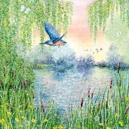 The RSPB has this very pretty Kingfisher and willows greetings card