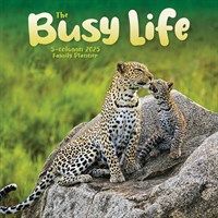 This is The Busy Life Family Planner 2025