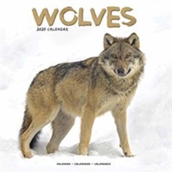 How about a Wolves 2025 Calendar?