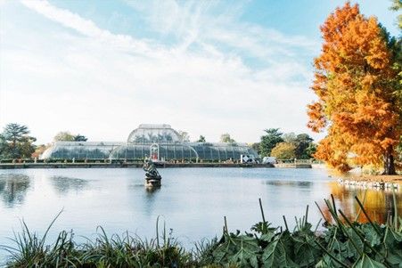 How about a Visit to Kew Gardens with Cream Tea for Two?