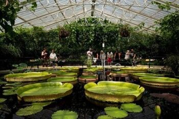 BuyaGift have a number of different visit options to Kew Gardens