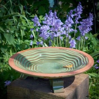 This Echoes Bird Bath is available from Garden Wildlife Direct