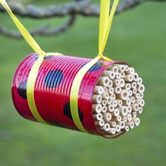 Make a Tin Can Insect House!