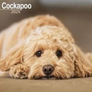 Sniff out all the calendars for 2025 here!