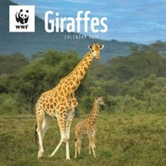 This is the WWF, Giraffes Calendar 2025
