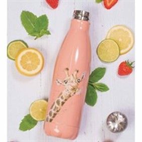 How about a Wrendale Designs, Flowers and Giraffe Water Bottle?
