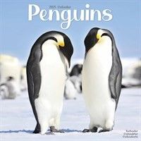 How about a Penguins Calendar for 2025?